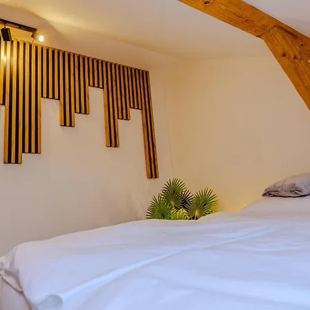 Apartman Rezidence Petra Voka *