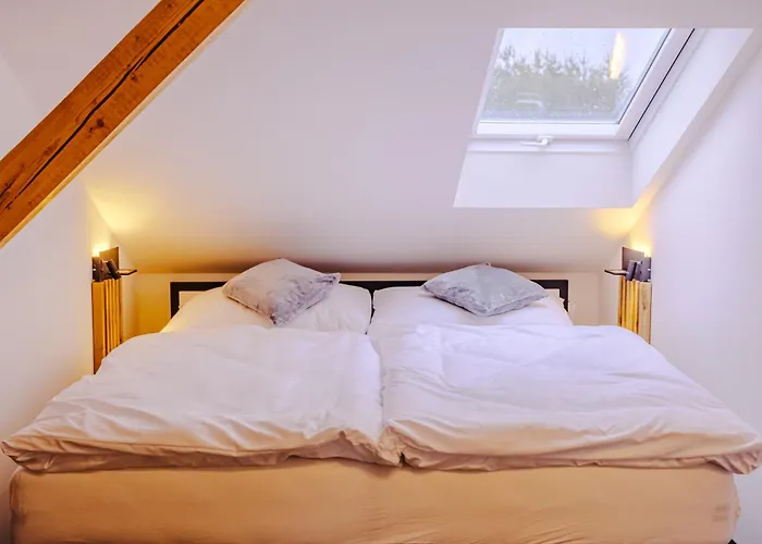 Apartament Rezidence Petra Voka *